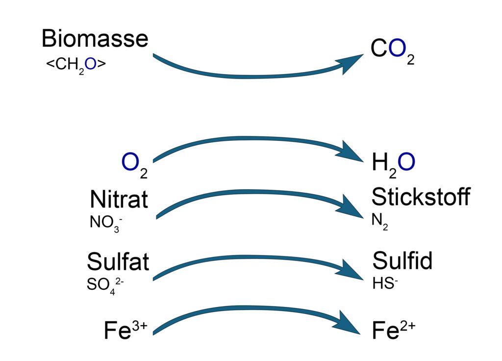 anaerobe Atmungen