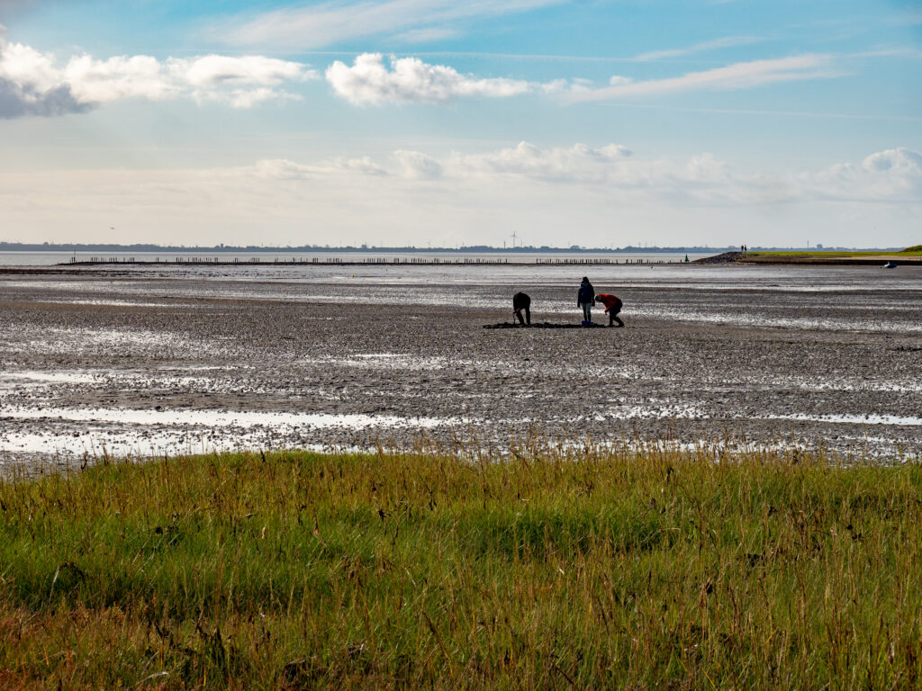 Watt in der Surferbucht bei Niedrigwasser